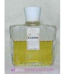 Narcisse Noir