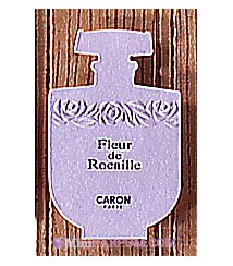 Fleur de Rocaille