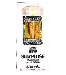 SURPRISE