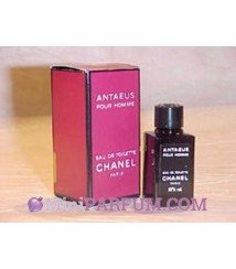 Antaeus pour homme