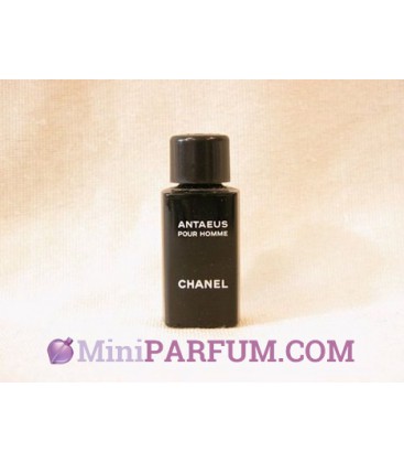 Antaeus pour homme