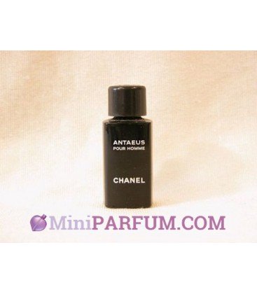 Antaeus pour homme