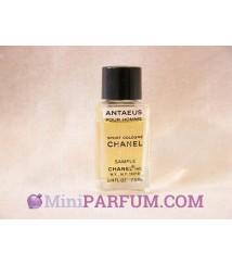 Antaeus pour homme