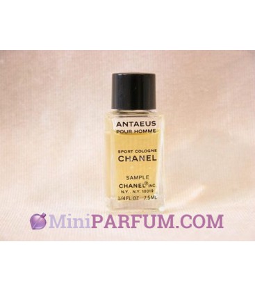 Antaeus pour homme
