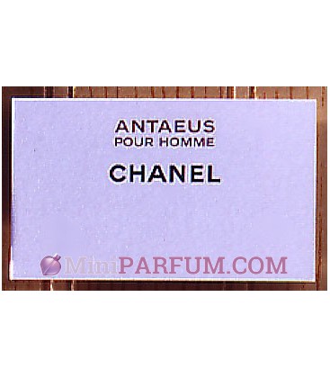Antaeus pour Homme