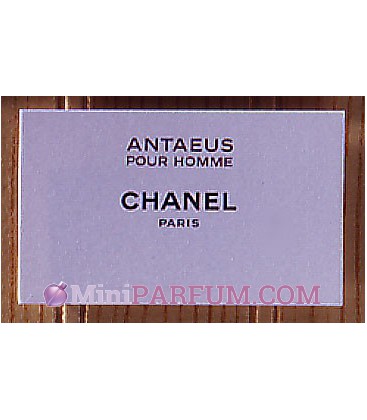 Antaeus pour Homme