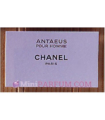 Antaeus pour Homme