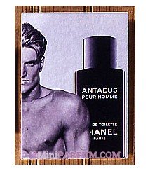 Antaeus pour Homme