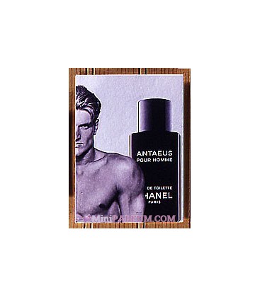 Antaeus pour Homme