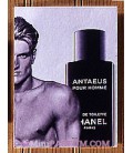Antaeus pour Homme