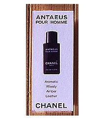 Antaeus pour Homme