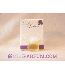 Quelques Violettes