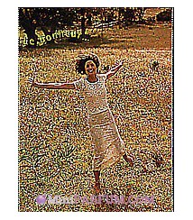 Le Bonheur