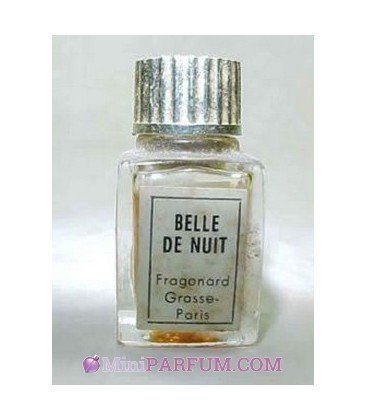 Belle de Nuit