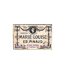 Marie louise
