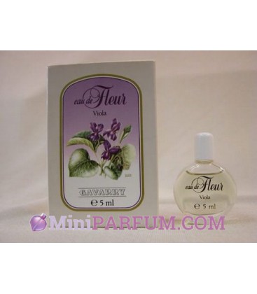Eau de fleur Violet