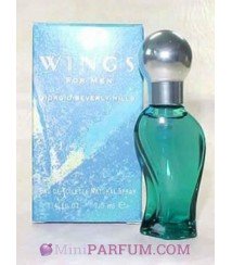Wings for men