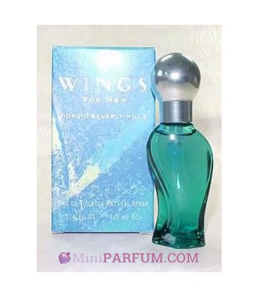 Wings for men