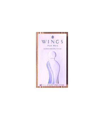 Wings for men