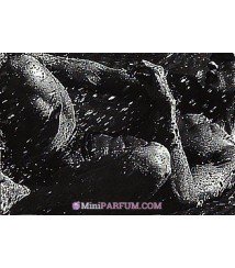 Acqua di Gio