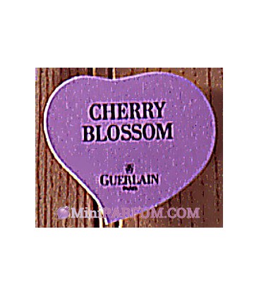 Cherry Blossom