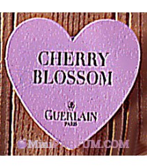 Cherry Blossom