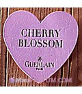 Cherry Blossom