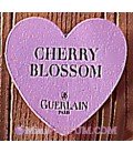 Cherry Blossom