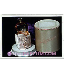 Tuliptime Perfume