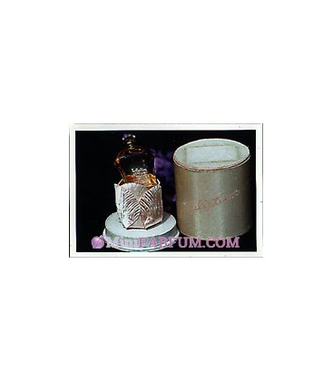 Tuliptime Perfume