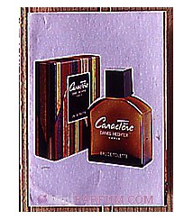 Caractère