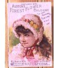 Austen's