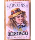 Austen's
