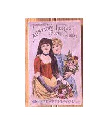 Austen's