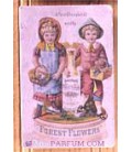 Austen's