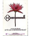 cannot duplicate just for you : aveda personal