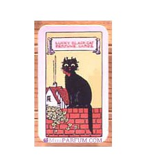 Lucky Black Cat