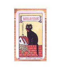 Lucky Black Cat