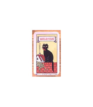 Lucky Black Cat