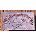 Rosée pour les bébés