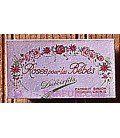 Rosée pour les bébés