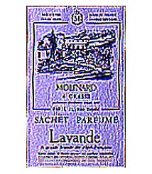 Lavande