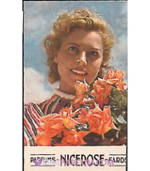 Parfums-NICEROSE-Fards