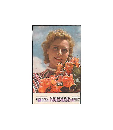 Parfums-NICEROSE-Fards