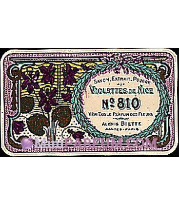 Violettes de Nice N°810