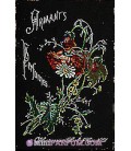Armant's