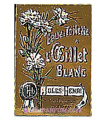 L'Œillet Blanc