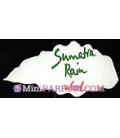 Sumatra Rain