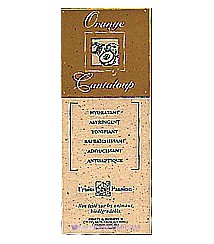 Orange Cantaloup
