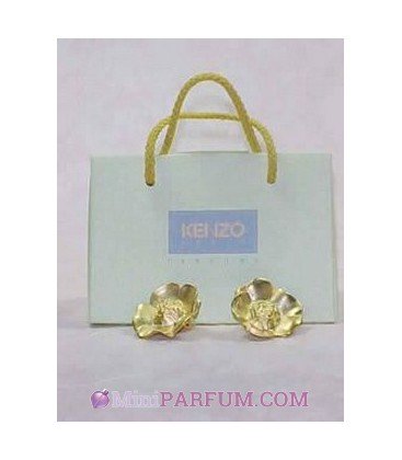 Paire de boucle d'oreilles